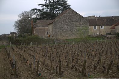 Gerard Boyer Backyard in Meursault